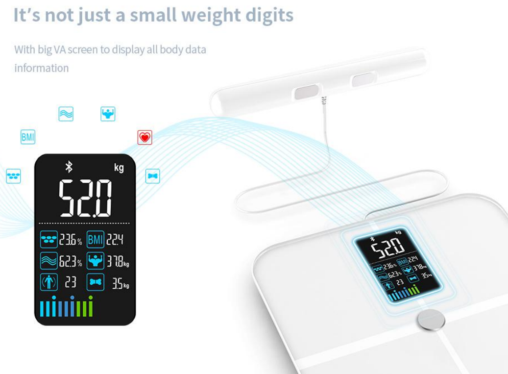 5 Routine-Altering Benefits of Utilizing a Composition BMI Smart Scale in  2023